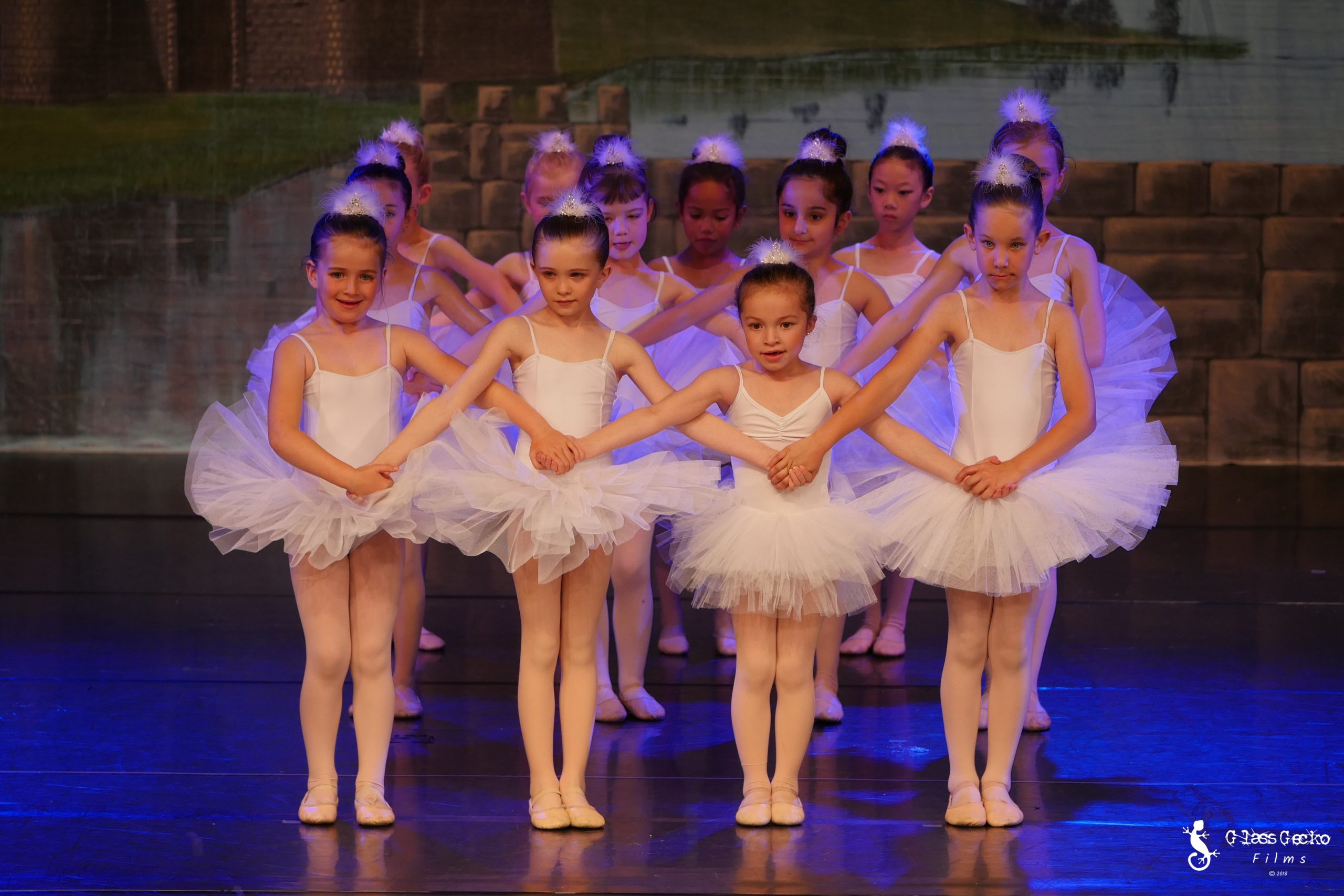 Wellington Ballet Studio Nz Dance Teachers